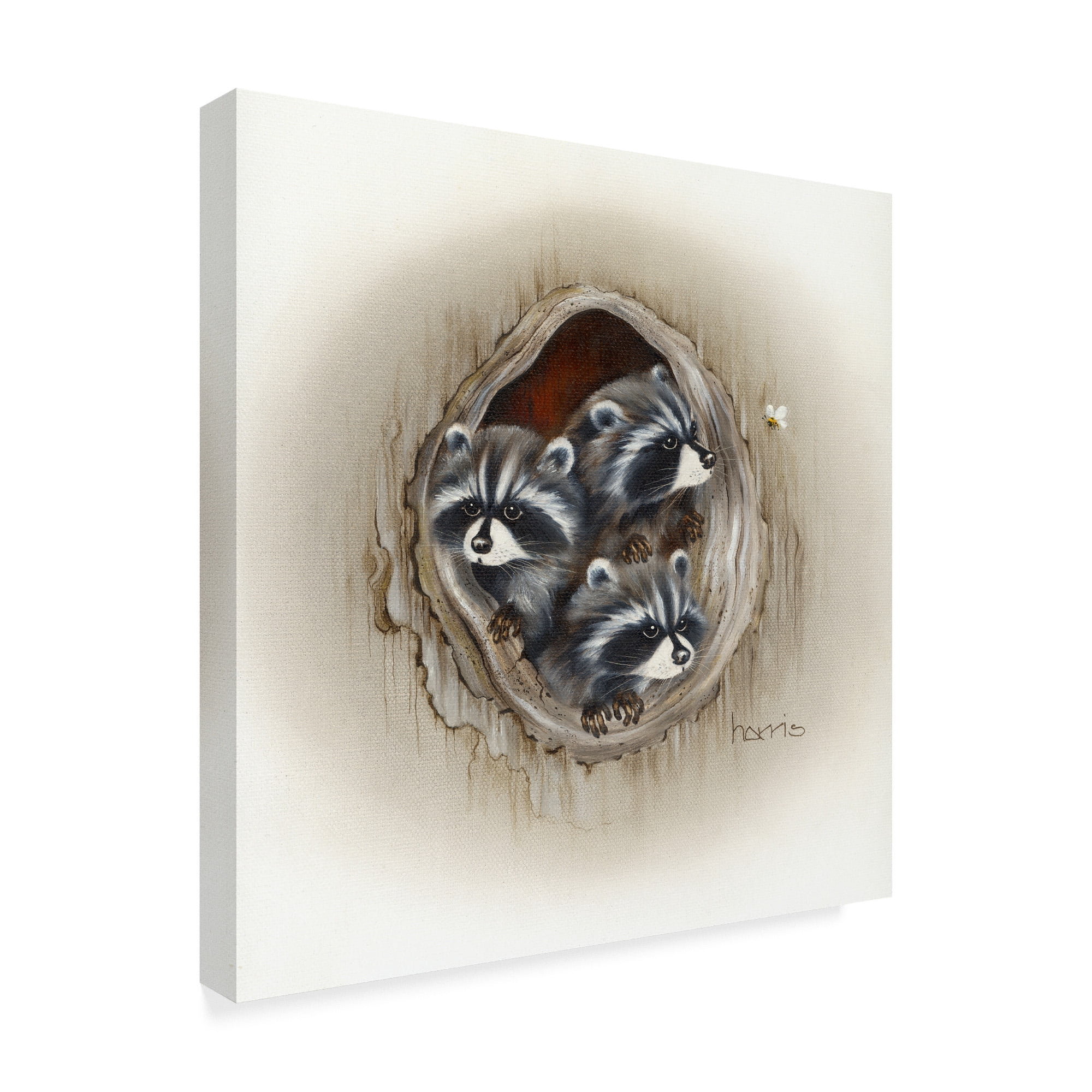 Trademark Fine Art 'Raccoons In Hole' Canvas Art by Peggy Harris