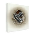 thumbnail image 2 of Trademark Fine Art 'Raccoons In Hole' Canvas Art by Peggy Harris, 2 of 3