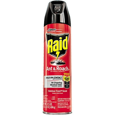 (2 pack) Raid Ant & Roach Killer Insecticide Spray-Outdoor Fresh - 17.5