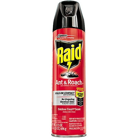 (2 pack) Raid Ant & Roach Killer Insecticide Spray-Outdoor Fresh - 17.5 (Best Insecticide For Millipedes)