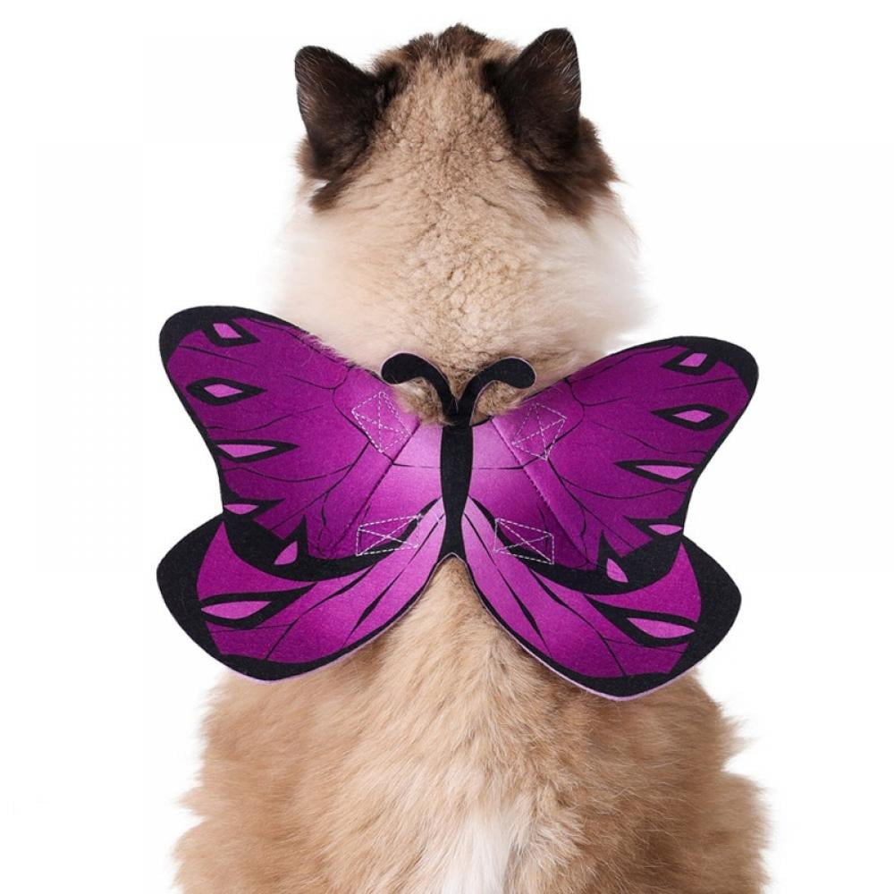 cat butterfly costume