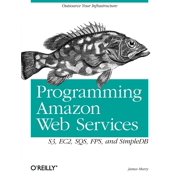 Angle View: Programming Amazon Web Services : S3, EC2, SQS, FPS, and SimpleDB (Paperback)