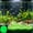 Green, variant on Glowing Aquarium Gravel, Luminous Fish Tank Sand, Noctilucent Substrate for Bettas and Shrimp, Decorative Stones, 2000 Grains, Multicolor, 3-5mm