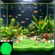 thumbnail image 1 of Piedras de acuario luminiscentes para peceras, sustrato decorativo noctilucente, multicolor, 50 g, seguro y brillante en la oscuridad para bettas, camarones, escena nocturna, 1 of 6
