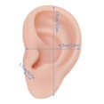 thumbnail image 2 of ZOUSSIQI 2Pairs Soft Silicone Ear Model, Flexible Fake Ear Simulation Ear Model Realistic for Jewelry Earrings Display Piercings Practice Acupuncture Mannequin Learning (Medium Skin) CA919-36326, 2 of 9