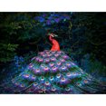 thumbnail image 1 of Taladro diamante pintura (DE3170) 5D DIY completo pavo real punto de cruz bordado mosaico 40x50cm FLhrweasw Nuevo, 1 of 1