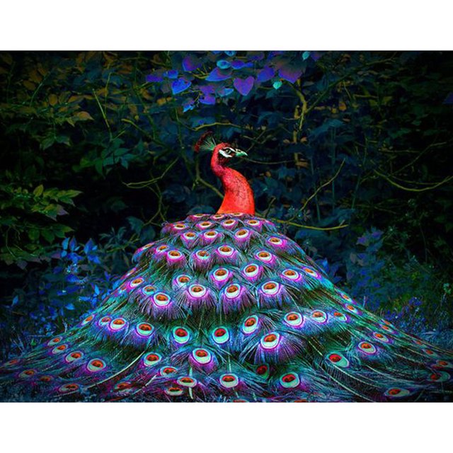 Taladro diamante pintura (DE3170) 5D DIY completo pavo real punto de cruz bordado mosaico 40x50cm FLhrweasw Nuevo