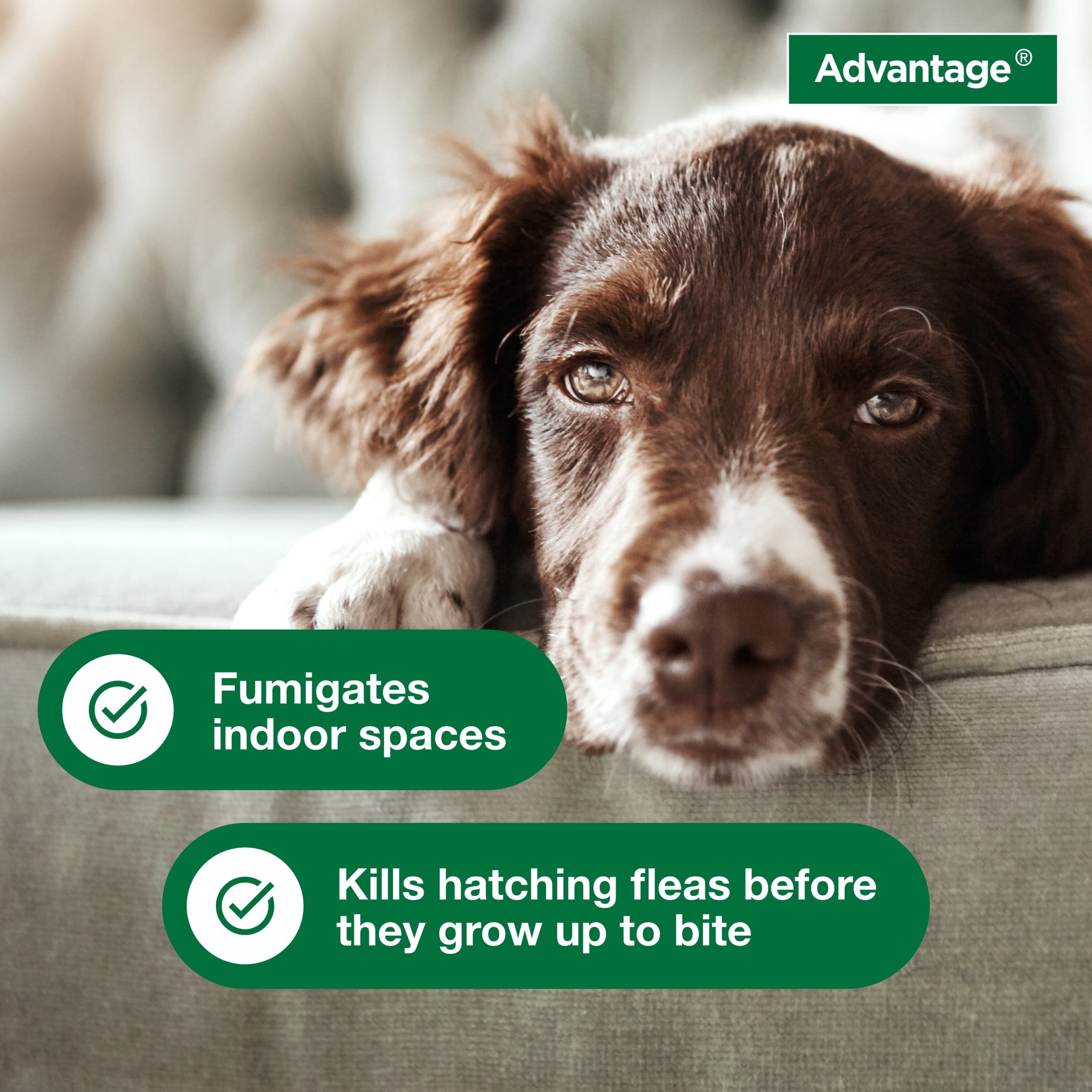 Advantage Household Fogger, Kills Fleas & Ticks, Flea Fogger for Home, 2 oz. (Pack of 3)