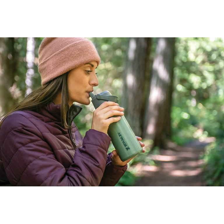 STANLEY 22 oz Green and Silver Insulated Stainless Steel Water Bottle with  Straw and Flip-Top Lid