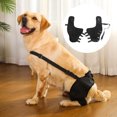 thumbnail image 2 of CSChome Pet Protective Gear For Elderly Pets 1 Pair Pet Protective Gear Soft Breathable Adjustable Supportive Leg Braces Dogs Recovery Suit, 2 of 7