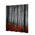 thumbnail image 1 of ZheElen Simple Installation Waterproof Shower Curtain With 12 Plastic Hooks Clear Print 9, 1 of 6