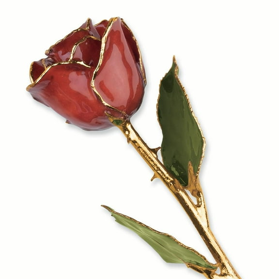 24k Gold Plated Trim Cinnamon Pearl Rose