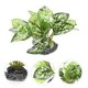 thumbnail image 4 of Planta falsa para acuario, pecera, hierba, decoración, paisajismo, adorno de plantas acuáticas, 4 of 5