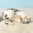 thumbnail image 4 of ERK 1Pcs Cat For Indoor Cats For Feline Emotion Support For Cats. Cat Chew For Care. With Feline Optimized Color Schemes, 4 of 5