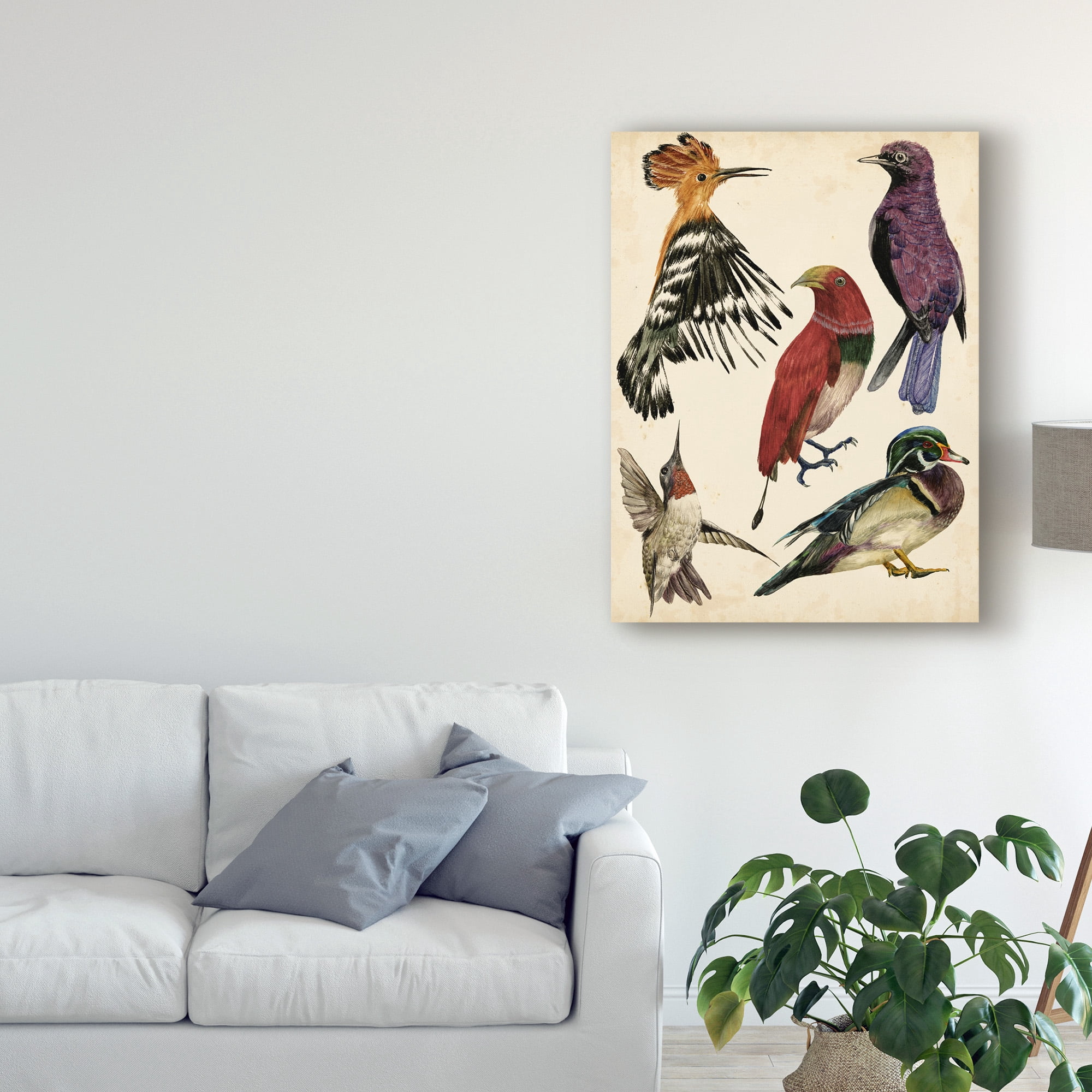 Trademark Fine Art 'Bird Collection II' Canvas Art by Melissa Wang