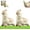 2pcs, variant on Spitting Llama Water Toy, Alpaca Interactive Water Sprayer, Funny Spoof Push Water Sprinkler Leak-Proof, Llama Squirt Gun with Head (1pcs)