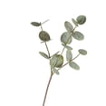 thumbnail image 5 of Realistic Artificial Flowers with Glass Vase, 19.3 Inch Fake Plants Eucalyptus, for Living Room Centerpieces, Bathroom, Farmhouse, Wedding Greenery Decor, Eucalyptus*1, 5 of 8