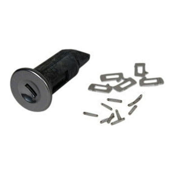 Ignition Lock Cylinder Set