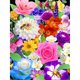 thumbnail image 2 of Kit Punto Cruz Con Flores Hilo Algodón Ecológico Bordado 9CT 60x80cm, 2 of 8
