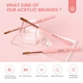 thumbnail image 3 of Saviland 3Pcs Acrylic Nail Brushes Sets - Nail Art Brush for Acrylic Powder Application Extension(Size 8/10/14), 3 of 8