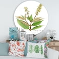 thumbnail image 2 of Designart 'Ancient Brazilian Plant V' Traditional Circle Metal Wall Art 36x36 - Disc of 36, 2 of 5