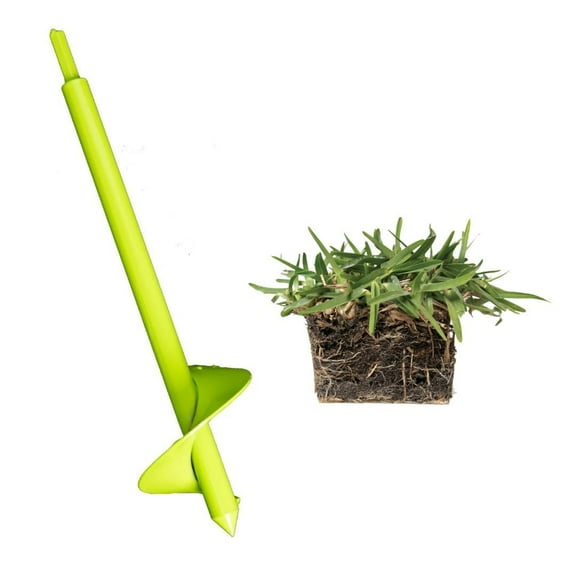 SodPods St Augustine CitraBlue (32-Count)/SP Power Planter Bundle, Natural Affordable Lawn Improvement