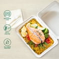 Compostable Clamshell Food Containers 8x8 Inch 50-Pack Biodegradable ...