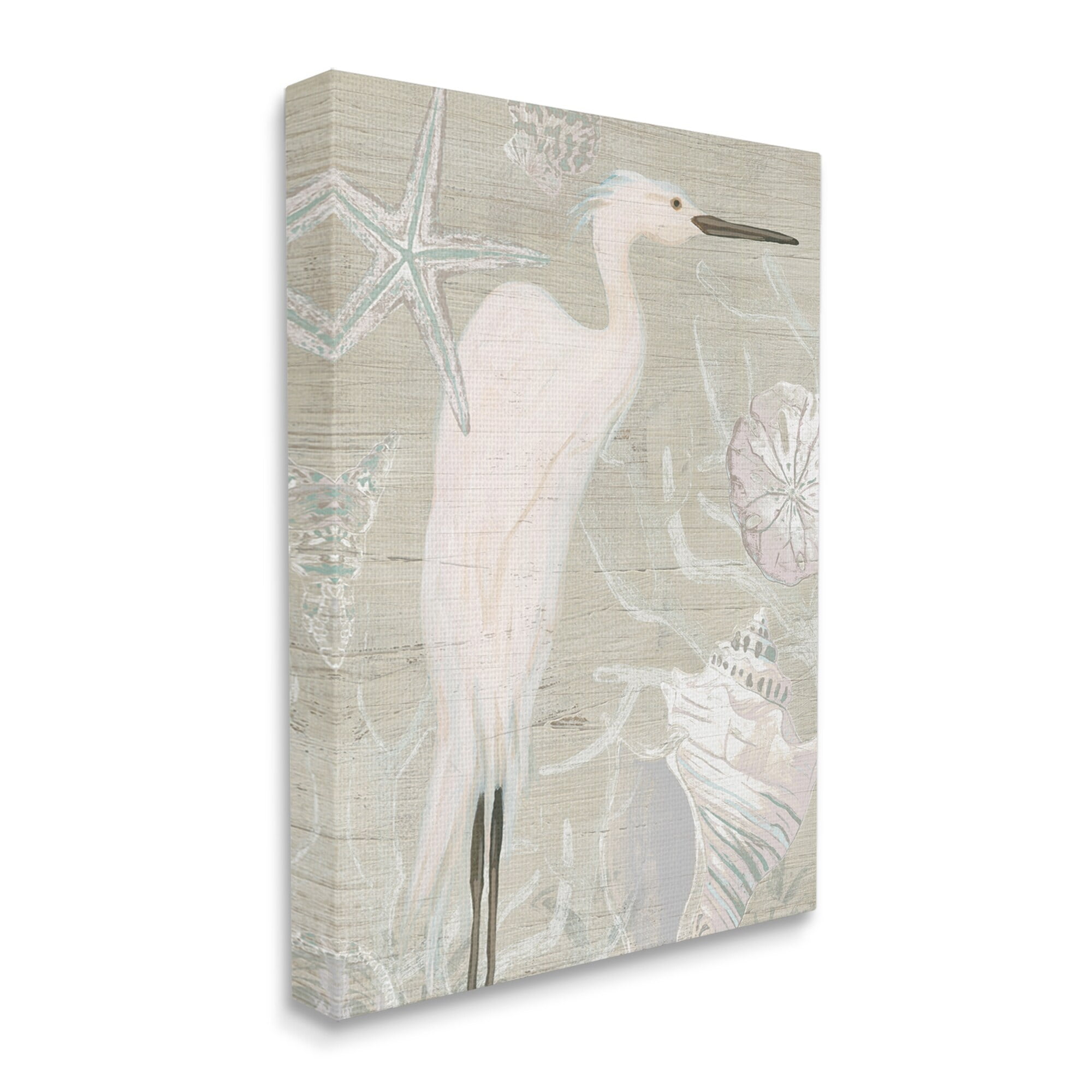 Stupell Industries White Egret Seashells Starfish Rustic Grain Pattern Graphic Art Gallery Wrapped Canvas Print Wall Art, Design by June Erica Vess