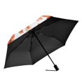 thumbnail image 2 of FORMRS Travel Umbrella Folding Auto Open Close Windproof Rain UV Protection, Small Floral Blooms, 2 of 8