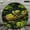 12x12in, variant on Patifu 10 Inch Round Wooden Wall Clock Turtle On Log In Pond Silent Mechanical Movement 10x10in