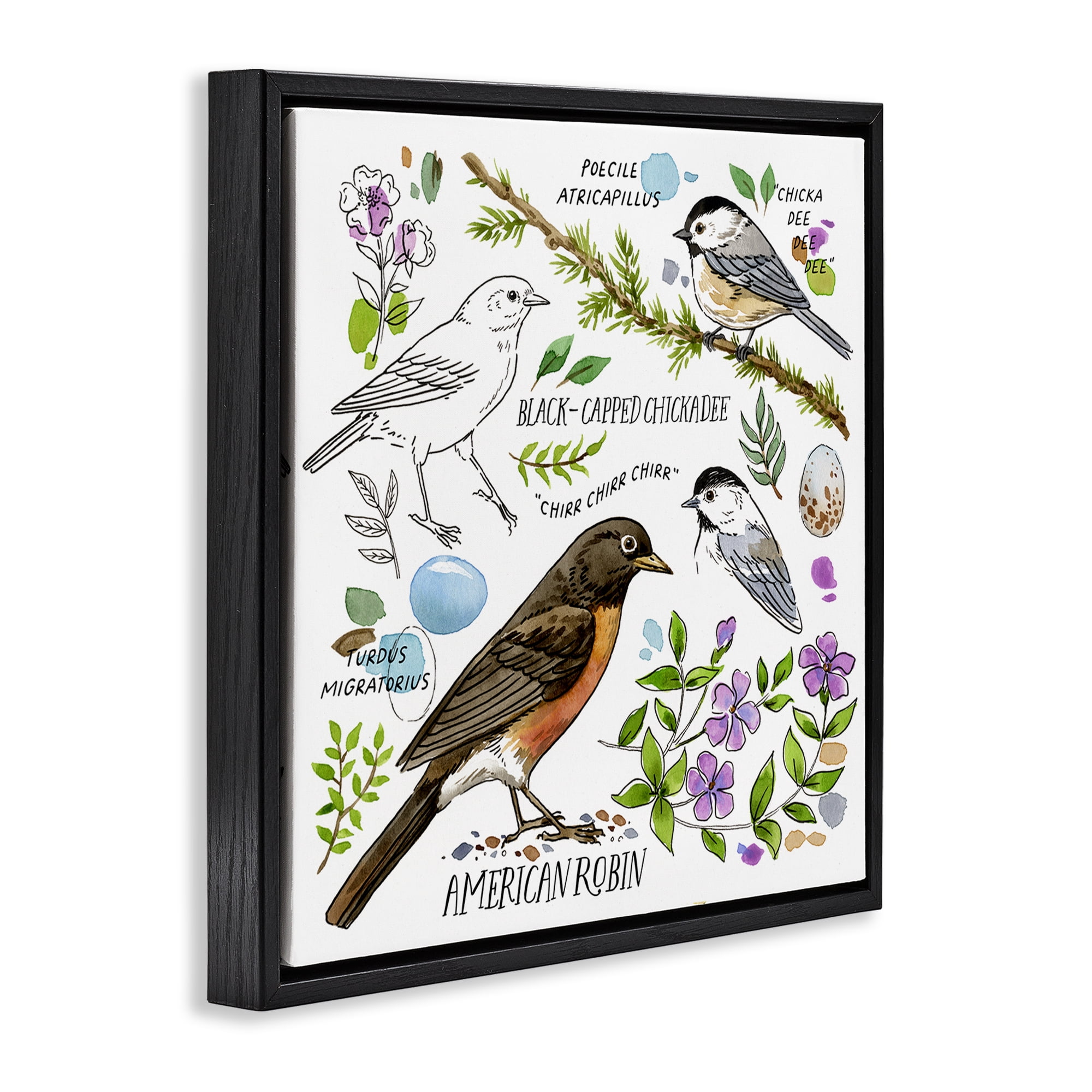 Stupell Industries Local Bird Watching Animals Painting Black Floater Framed Canvas Art Print Wall Art, 25 x 25