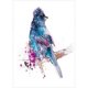 thumbnail image 1 of Taladro diamante pintura (DF3279) 5D DIY arte completo pájaro punto de cruz bordado (G-2706 45x60cm FLhrweasw Nuevo, 1 of 1