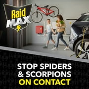 Raid MAX Indoor & Outdoor Spider & Scorpion Killer Bug Spray, 12 oz