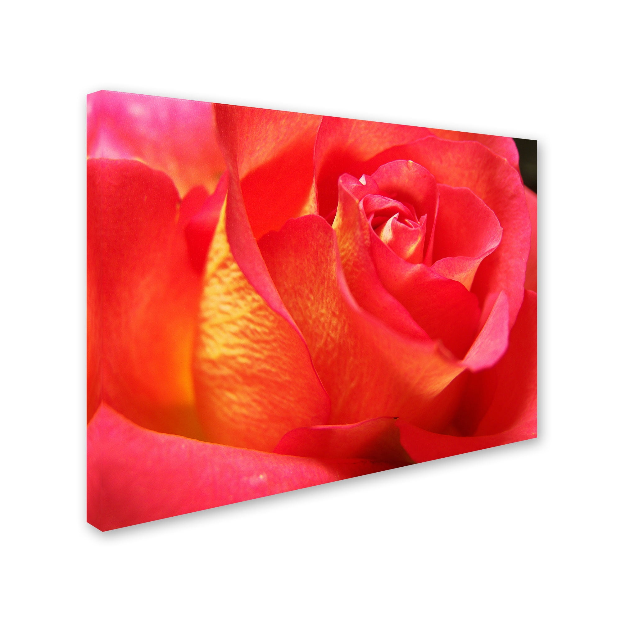 Trademark Fine Art "Empowering Heart" Canvas Art by Monica Fleet