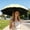 Green-GN, variant on MMJ Travel Umbrella 8 Ribs Manual Open Sun Rain Folding Parasol Water Activated Flower Print UV Protection Portable Women Outdoor