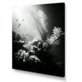 thumbnail image 2 of Designart "Monochrome Subaquatic Tranquility II" Coastal Coral Under Water Canvas Prints, 2 of 7