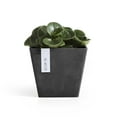 thumbnail image 4 of Ecopots Rotterdam Durable Modern Square Indoor/Outdoor Recycled Based Composite Flower Planter, Dark Grey, 8", 4 of 4