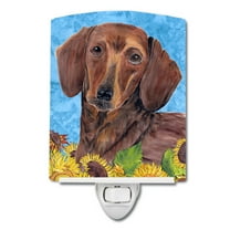 Caroline's Treasures SC9072CNL Dachshund in Summer Flowers Ceramic Night Light, 6x4x3", multicolor
