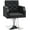 Black, variant on BarberPub Classic Salon for Hair Stylist,Hydraulic Barber Styling Chair, White 8818