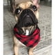 thumbnail image 2 of Uds. Bandana clásica a cuadros para perros, pañuelo de algodón, pañuelo para cachorros, bufanda triangular para perros pequeños, medianos y grandes, 2 of 6