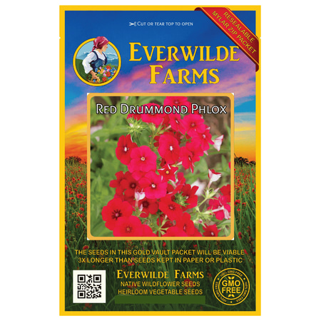 Everwilde Farms - 1750 Red Drummond Phlox Native Wildflower Seeds - Gold Vault Jumbo Bulk Seed