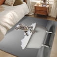 thumbnail image 3 of Area Rug 48×72in, Funny Koala Bathtub Floor Carpet Living Room Rug, Gray Animal Art Non-Slip Welcome Mat Indoor Rugs for Bedroom Dining Room, 3 of 9