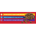 thumbnail image 4 of Ol' Roy Complete Nutrition Dry Dog Food, 15 lbs., 4 of 6