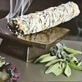 thumbnail image 3 of 40-Piece Natural White Sage Smudge Sticks, California Pure Leaf for Spiritual Home Cleansing & Purification, Sage Incense Sticks, 3 of 5