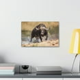 thumbnail image 4 of Water Buffalo Hunting Water Buffalo on Hunt Print Animal Wall Art Wildlife Canvas Prints Wall Art Ready to Hang Unframed, 4 of 18