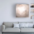 thumbnail image 3 of Emma Caroline 'Blush Prism I' Canvas Art, 3 of 3