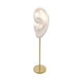 thumbnail image 2 of kurtrusly Earring Display Stand Human Ear Model Organizer Holder Showcase Stud Jewelry Left Ear White Height: 18cm 1Set, 2 of 6