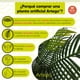 thumbnail image 3 of Planta artificial decorativa moderna Artego Palmera Hawaii 130cm, 3 of 9