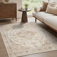 thumbnail image 2 of FEELHOME 4'x6' Area Rug Machine Washable Soft Vintage Distressed Non Slip Carpet for Living Room Bedroom Dining Room Taupe, 2 of 6