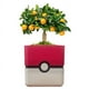 thumbnail image 2 of Maceta Pokémon 3D Plantas PokeFlowy 1 Pza 14x14x14cm Rojo Negro Blanco No incluye Planta., 2 of 6
